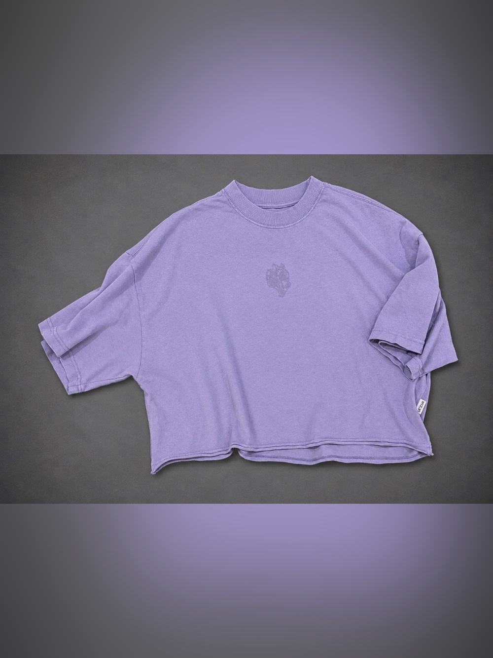 Darc Sport Relaxed Lavender Crop Boxy Tee - Women